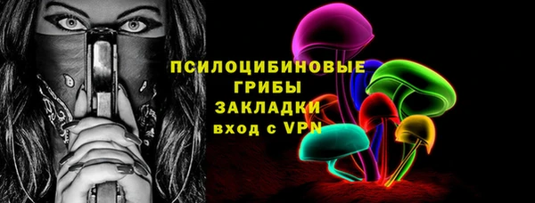 ГАЛЛЮЦИНОГЕННЫЕ ГРИБЫ Пересвет
