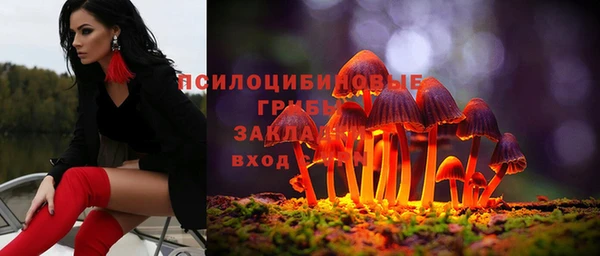 ПСИЛОЦИБИНОВЫЕ ГРИБЫ Покров