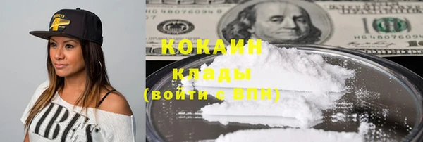 ГАЛЛЮЦИНОГЕННЫЕ ГРИБЫ Пересвет