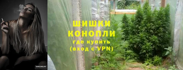 ГАЛЛЮЦИНОГЕННЫЕ ГРИБЫ Пересвет