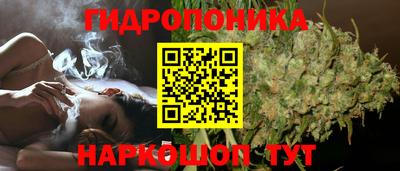 гидра Гатчина