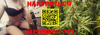 гидра Гатчина