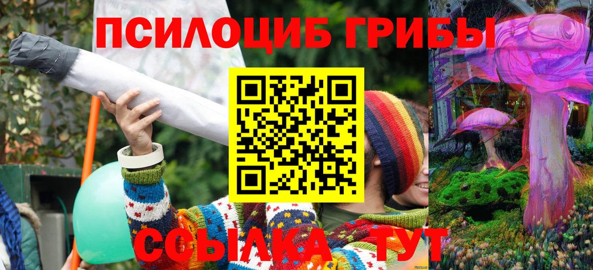 Галлюциногенные грибы прущие грибы Алексеевка