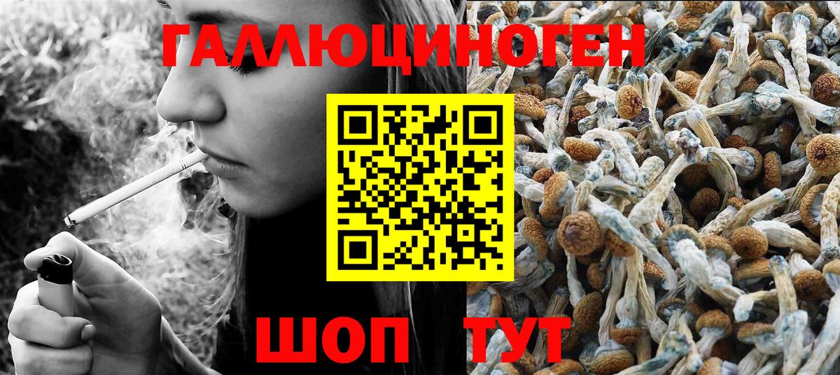 Алексеевка  Галлюциногенные грибы мицелий  Вход с VPN  сколько стоит  Галлюциногенные грибы Magic Shrooms 