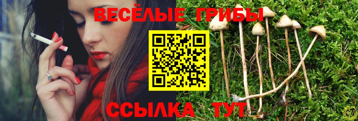 Псилоцибиновые грибы ЛСД Алексеевка