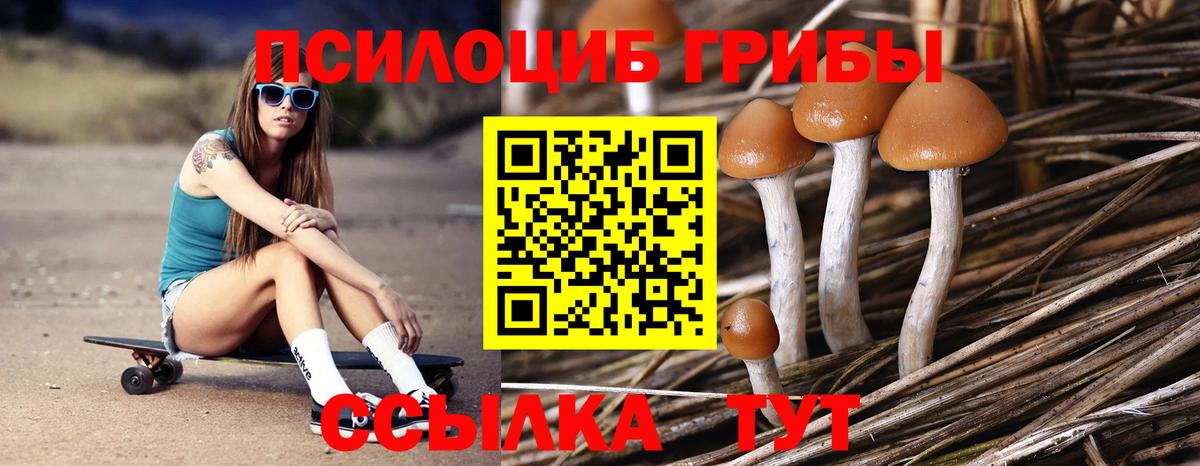 Галлюциногенные грибы Magic Shrooms  Галлюциногенные грибы Psilocybe  Вход с VPN  Алексеевка 