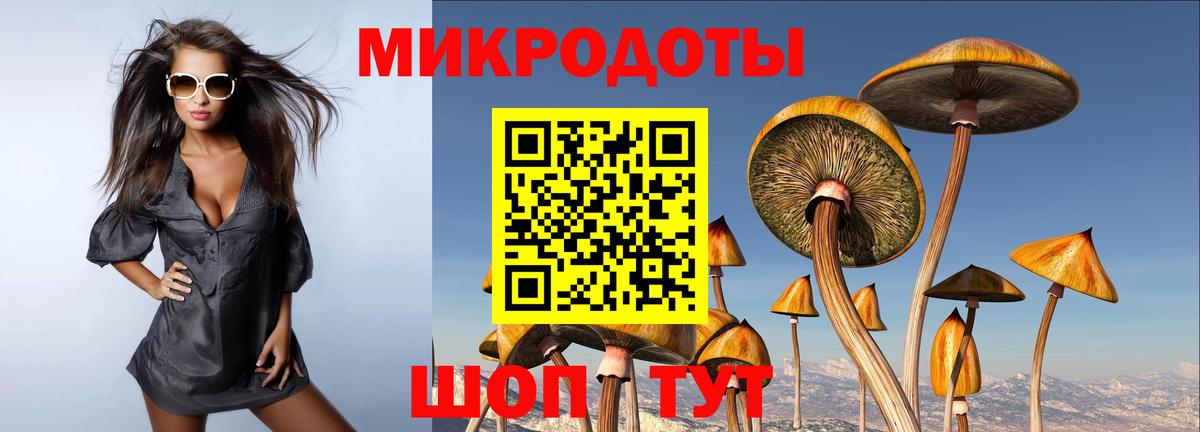 Галлюциногенные грибы мухоморы Алексеевка